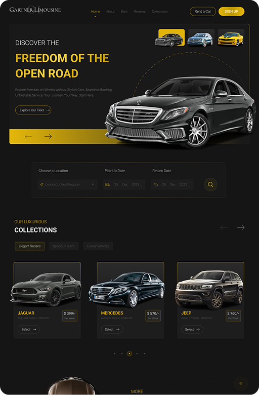Business software project by Nano Tech Solution
